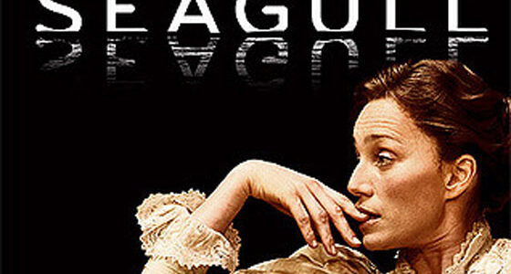 The Seagull